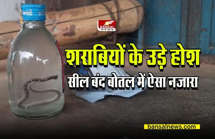 CG Liquor News : शराबियों के लिए रौंगटे खड़े कर देने वाली खबर, सील बंद बोतल में सांप
