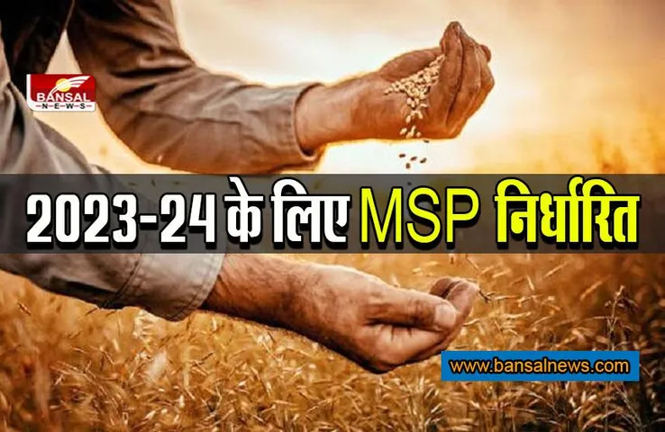 Rabi Crops MSP 2023-24: दिवाली से पहले केंद्र सरकार का किसानों को तोहफा ! 6 रबी फसलों की MSP बढ़ाई, मसूर के लिए 500 रुपए बढ़े