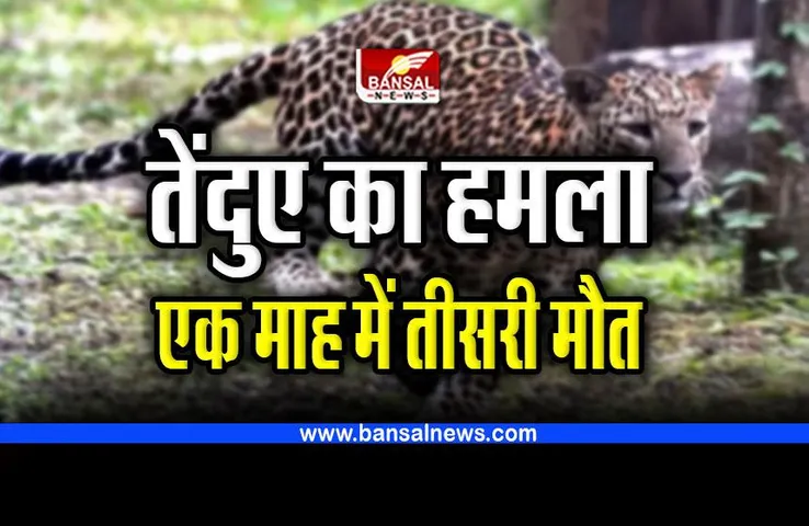 Leopard attack : एक माह में तीसरी मौत, तेंदुआ कर रहा हमला