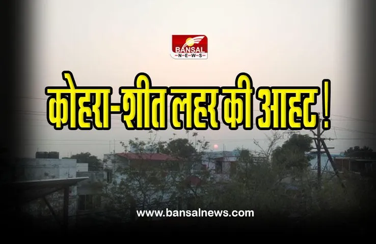 Fog and Cold wave : प्रदेश में कोहरा - शीत लहर की आहट, प्रभावित हो सकती हैं ट्रेने