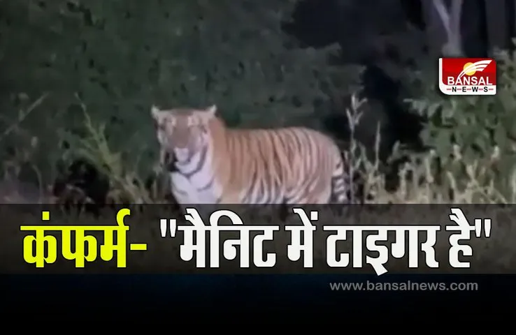 Tiger In MANIT: कंफर्म - 