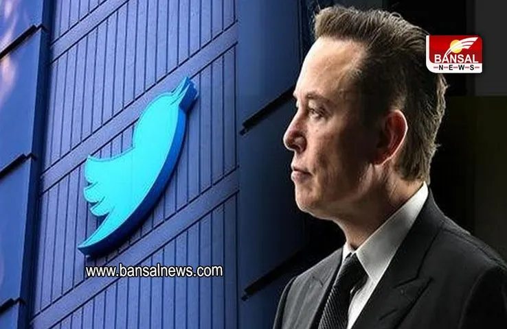 Twitter Data: हैकर्स ने चुराया Twitter के 40 करोड़ यूजर्स का डेटा, एलन मस्क को दे दी खरीदने की सलाह
