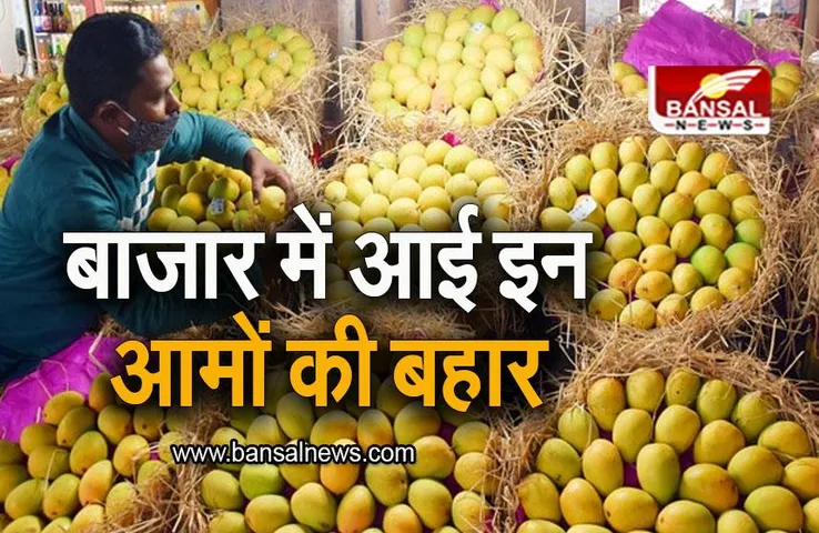 Mango Season: इन आमों से अटा पड़ा है बाजार, आ गया आम का सीजन!