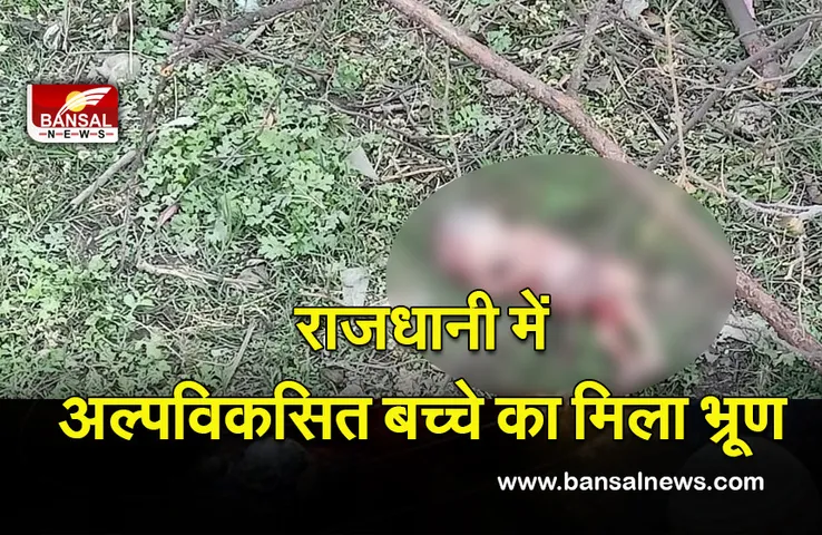 Bhopal News: बैरागढ़ में अल्पविकसित बच्चे का भ्रूण मिला, जांच में जुटी पुलिस
