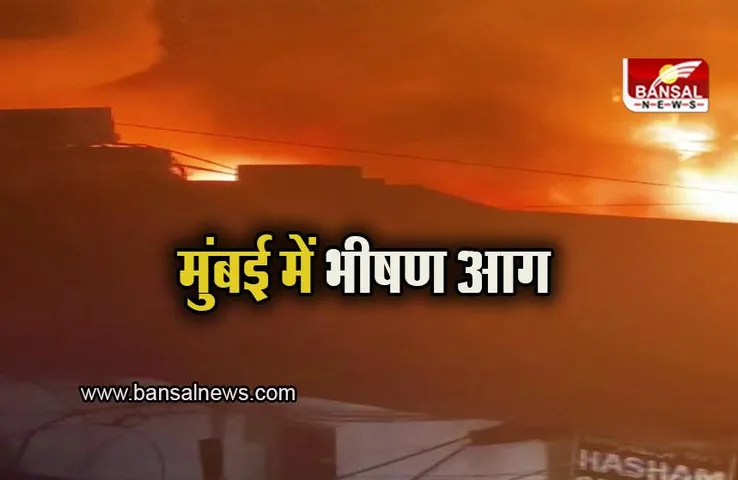 Mumbai Fire: मुंबई के मस्जिद बंदर इलाके में भीषण आग, 20 दुकानें जलकर खाक