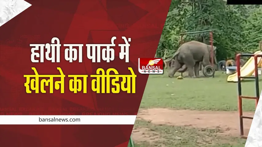 watch: हाथी का पार्क में खेलने का वीडियो वायरल, देखें