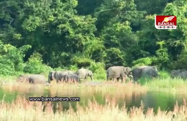 Assam: 4 फरवरी को पर्यटकों के लिए काजीरंगा नेशनल पार्क रहेगा खुला, नेशनल पार्क के अधिकारियों ने दी जानकारी