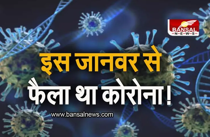 Covid 19 Origin: इस जानवर से फैला था कोरोना, रिसर्च में हुआ बड़ा खुलासा