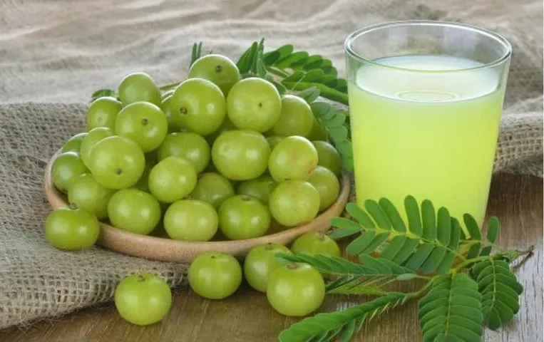 Amla Benefits: ठंड में सर्दी-जुकाम से पाना है छुटकारा, तो आज ही डाइट में शामिल करें ये फल