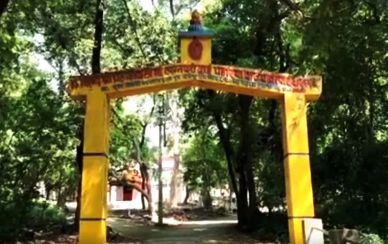 CG News: इस गांव में पेड़ों को काटना तो दूर, हाथ भी नहीं लगाते हैं लोग, कारण जानकर रह जाएंगे हैरान