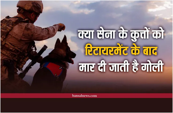 Army Dogs: सेना के कुत्तों को रिटायरमेंट के बाद क्या मार दी जाती है गोली, जानिए