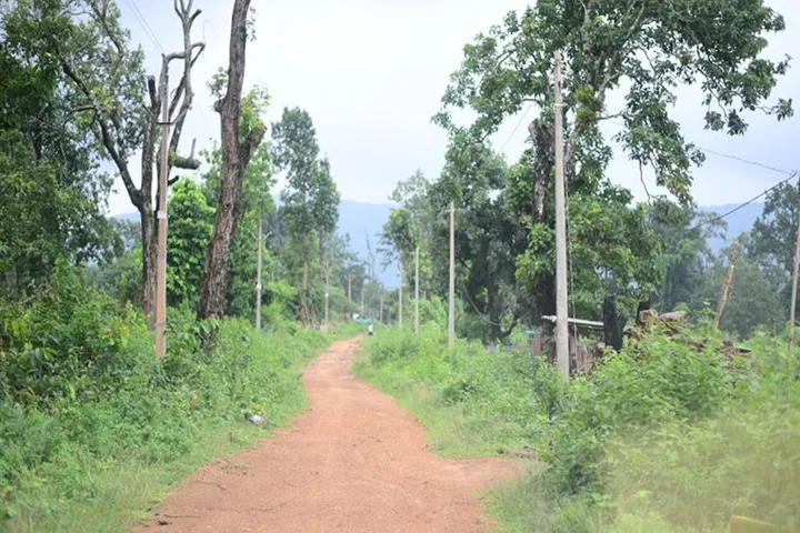 Bastar News: बस्तर जिले के बड़े बोदल गांव में आज भी विकास के काम कोसों दूर