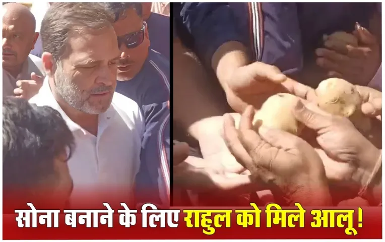 Bharat Jodo Nyay Yatra: राहुल गांधी को बीजेपी कार्यकर्ताओं ने थमाए आलू, कहा- सोना बनाईए; राहुल ने दिया ये मजेदार जवाब!