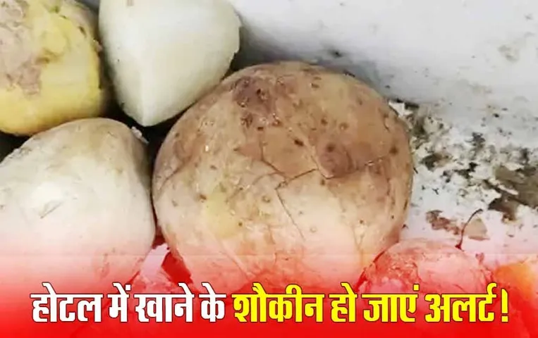 होटल में सड़ा खाना: भोपाल में फूड टीम को रेस्त्रां में‌ मिले फफूंद लगे आलू , इस भोजनालय में बेहिसाब गंदगी