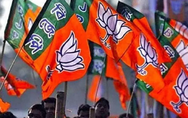 MP Election 2023: BJP को बड़ा झटका, दो बार की विधायक रही रेखा यादव ने दिया इस्तीफा, इस पार्टी ने बनाया प्रत्याशी