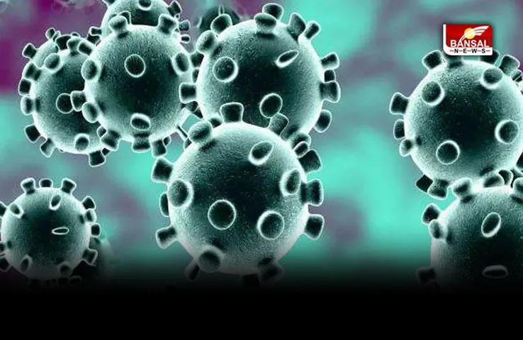 India Corona Update: देश में कोरोना वायरस संक्रमण के इतने नए मामले आए सामने, पढ़ें विस्तार से