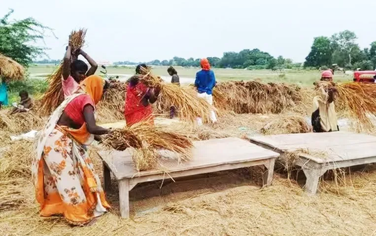 CG Elections 2023: किसानों की खेती में व्यस्तता, क्या मतदान को करेगी प्रभावित? उम्मीदवारों की बढ़ी टेंशन