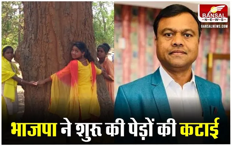 CG Hasdev Aranya: कांग्रेस पीसीसी चीफ दीपक बैज करेंगे अरण्य हसदेव का दौरा, कार्यकर्ता भी होंगे साथ