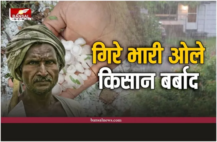 Heavy Rain Alert : तेज बारिश के साथ गिरे ओले, बर्बाद हो गए किसान, फसलों को नुकसान