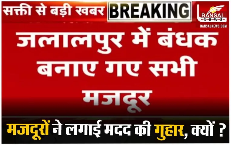 CG News: सक्ती जिले के मजदूरों को पंजाब में बनाया बंधक, वीडियो हुआ जारी