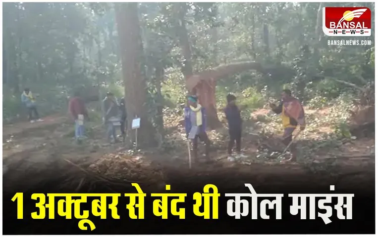 CG News: पीकेईबी कोल ब्लॉक के लिए पेड़ों की कटाई शुरु, इलाके में भारी पुलिस बल तैनात, प्रदर्शनकारियों को हिरासत में लिया