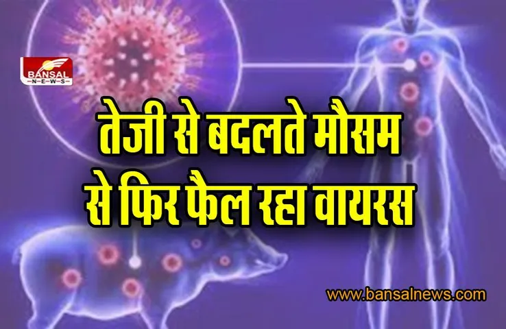 CG Swine Flu Cases: प्रदेश में फिर बढ़ रहे स्वाइन फ्लू के मरीज, इतनी पहुंची संख्या