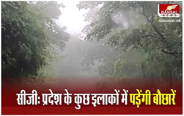 CG Weather update: सरगुजा में शीतलहर, रायपुर और बिलासपुर संभाग में आज बारिश की संभावना, जानें आपके जिले का मौसम