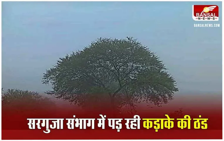 CG Weather Update: आज और कल बिलासपुर संभाग में बारिश की संभावना, जानें आज कैसा रहेगा मौसम