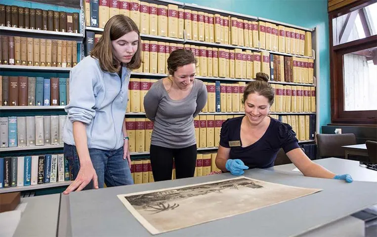 Career Tips For History Students: इतिहास के स्टूडेंट हैं तो इन 3 फील्ड में बनाए अपना करियर, होगी लाखों में कमाई