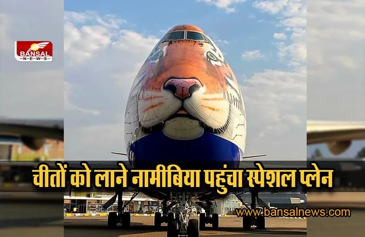 Cheetah news: विशेष विमान बी 747 जंबो जेट से जयपुर में उतरेंगे चीते, देखें विमान के नए लुक का वीडियो