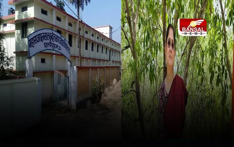 MCBU VC News: प्रोफेसर शुभा तिवारी होंगी नई कुलपति, टीआर थापक का कार्यकाल 20 जून को पूरा