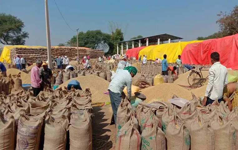 Chhattisgarh News: समर्थन मूल्य पर धान एवं मक्का की खरीदी के लिए दिशा निर्देश जारी, पंजीयन में लगेंगे ये दस्तावेज