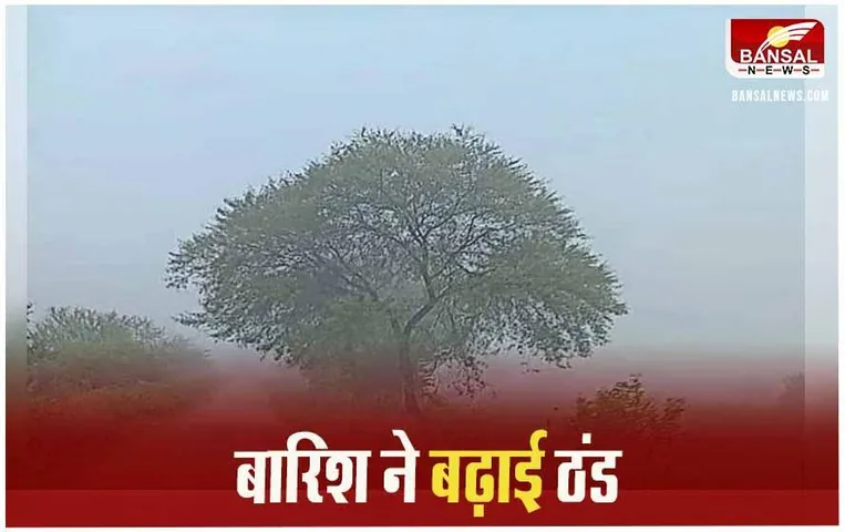 CG Weather Update: वेस्टर्न डिस्टरबेंस का असर प्रदेशभर, कई जिलों में बारिश की संभावना और बढ़ेगी ठंड
