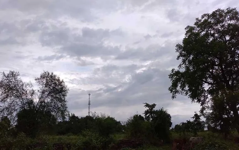 Chhattisgarh Weather Update: राजधानी में बदला मौसम का मिजाज, पश्चिमी विक्षोभ के प्रभाव से हवा में बढ़ी नमी