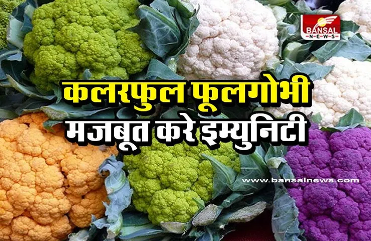 Colorful Cauliflower : कलरफुल फूलगोभी मार्केट में मचा रही धूम, इसे खाने से इम्युनिटी होती है मजबूत