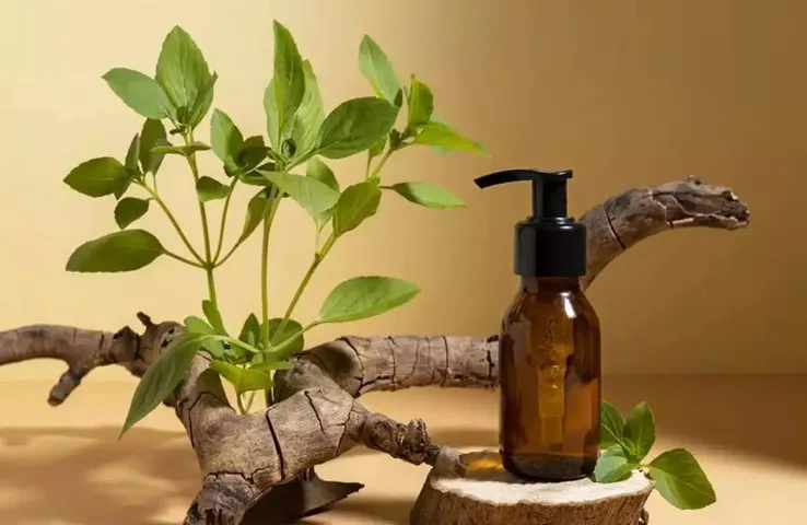 Tea-Tree Oil Benefits: चेहरे के दाग-धब्बों को दूर भगाएं खूबसूरत त्वचा पाएं, जानिए टी ट्री तेल के विशेष फायदे