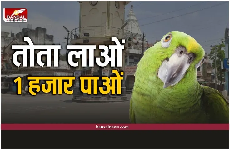 Damoh Parrot posters : तोते का पता बताओं 1000 हजार रूपये ले जाओं