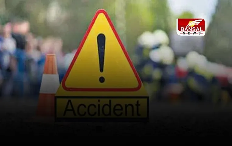 Delhi News: दिल्ली के वेलकम इलाके में सड़क दुर्घटना में दो लोगों की मौत, चार अन्य घायल