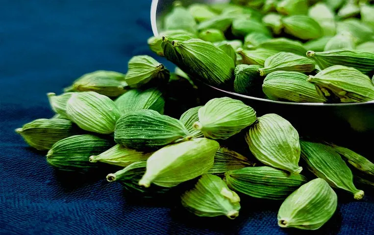 Health Tips: रोजाना हरी इलायची खाने से होते हैं ये फायदे, कई बीमारियों से मिलती है राहत