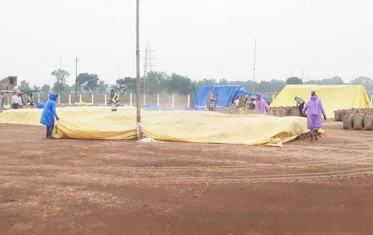 CG News: मरवाही में किसानों का आरोप, कर्मचारी धान पासिंग के नाम पर वसूल रहे अवैध पैसा, जिम्मेदार बेखबर