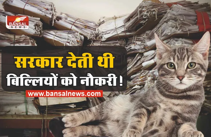 भारत की ऐसी सरकार, जो बिल्लीयों को देती थी सरकारी नौकरी!, जानिए रोचक तथ्य
