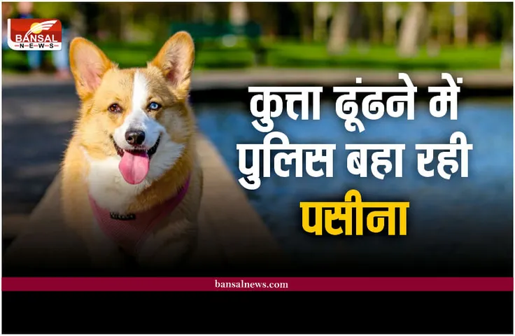 Gwalior Dog Poster : IAS का कुत्ता गुम, पुलिस ने शहर में लगा दिए पोस्टर
