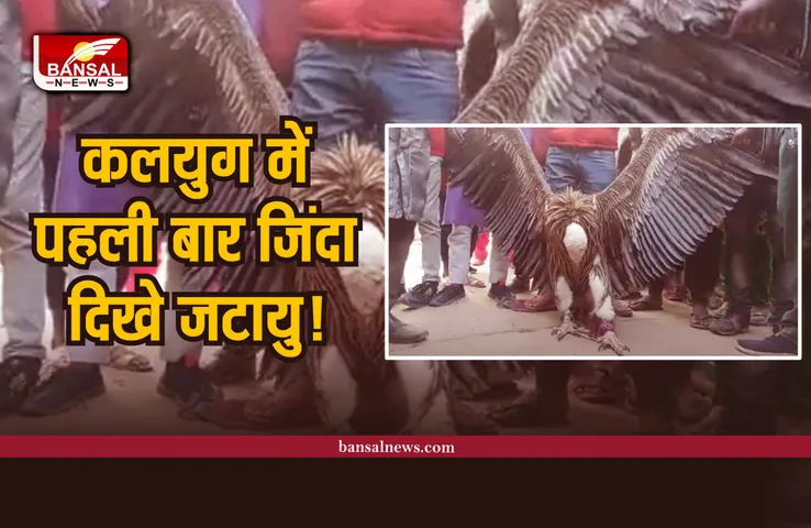 उत्तरप्रदेश में पहली बार जिंदा मिले रामायण के जटायु! दिए साक्षात दर्शन, पढ़े पूरी खबर