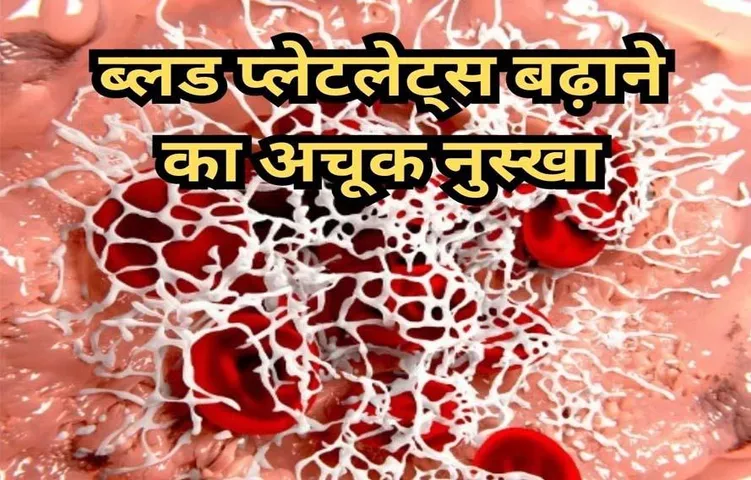 Home Remedies to Increase Platelets: प्लेटलेट्स बढ़ाने के घरेलू उपाय, डाइट में आज ही शामिल करें ये 5 चीज़ें