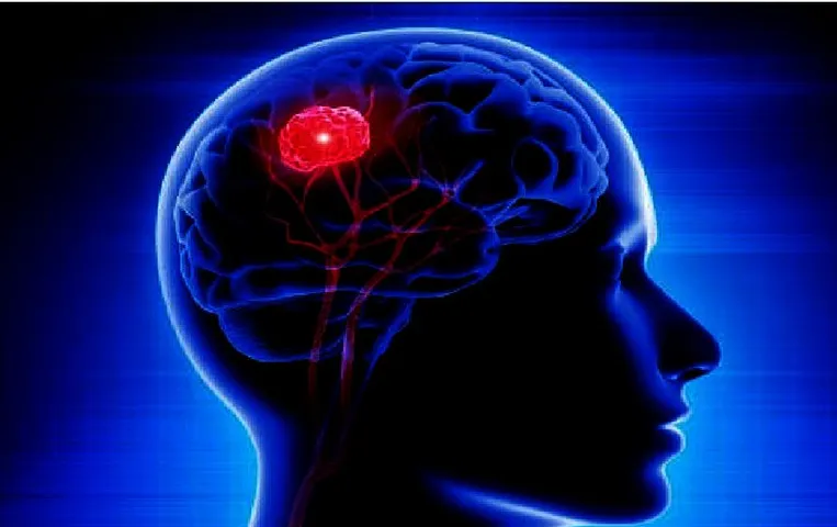 Increase Memory Power: इन 8 तरीकों से बढ़ाएं सोचने-समझने की शक्ति, इनसे तेज हो जाएगी बुद्धि