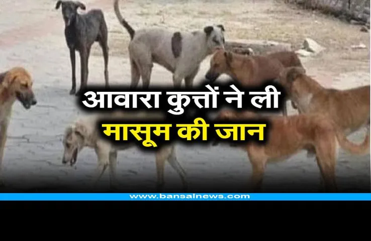 Korea News : आवारा कुत्तों के झुंड ने ली 5 साल की मासूम की जान