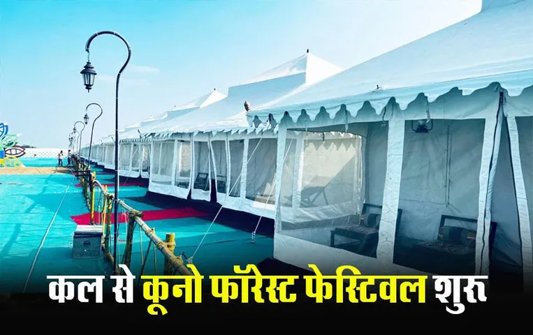 MP News: कूनो फॉरेस्ट फेस्टिवल कल से शुरू, CM मोहन यादव करेंगे शुभारंभ