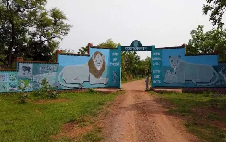 Kuno National Park: राजस्थान से एक बाघ कूनो नेशनल पार्क में घुसा, अधिकारी ने कहा- चीतों को नहीं कोई खतरा