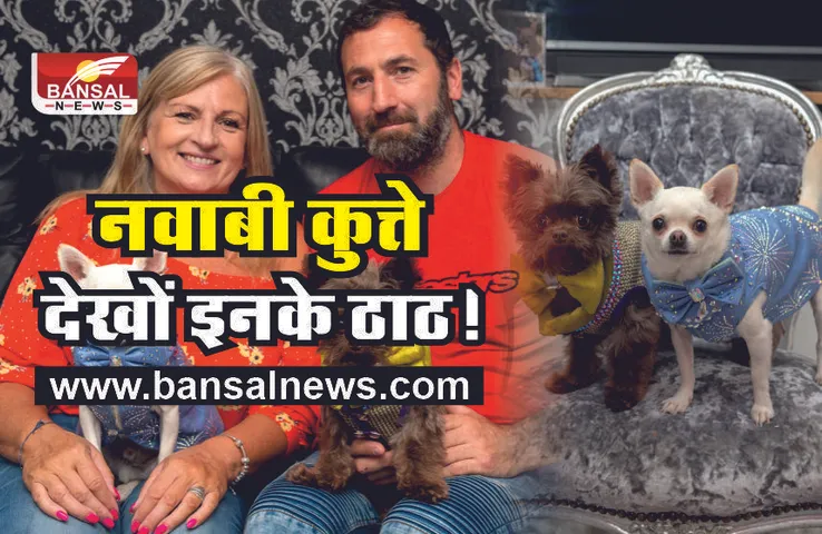 Dog Owner Leone Galler : जिंदगी हो तो इन कुत्तों जैसी, देखों इनके ठाठ!