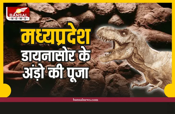 MP Dinosaur Eggs : मध्यप्रदेश के इस जिले में होती है डायनासोर के अंडों की पूजा